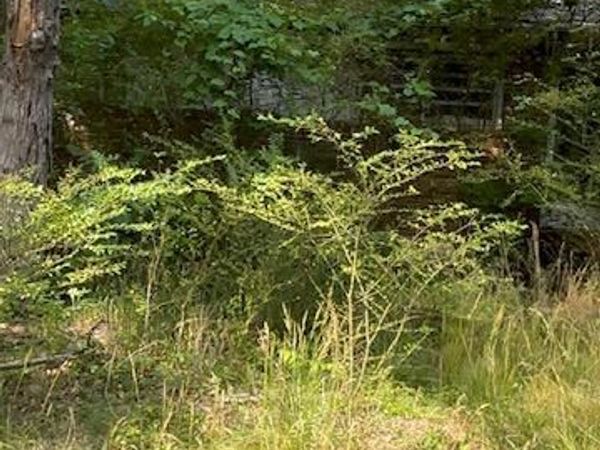 10528 COLES LANE , FREDERICKSBURG, VA 22408
