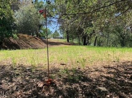 Beverly, Oroville, CA 95966 Photo