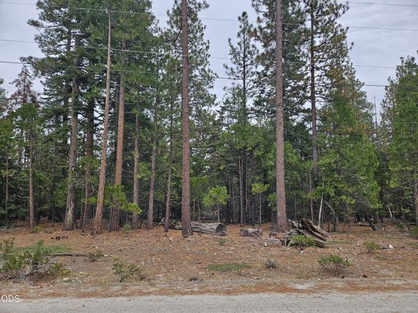 0 Blackbird Drive, Unit Lots 33, 3, Bonanza, OR 97623