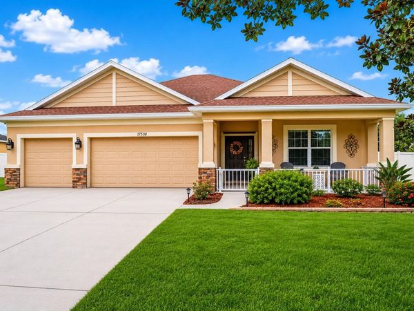 17539 BUCKINGHAM GARDEN DRIVE, LITHIA, FL 33547