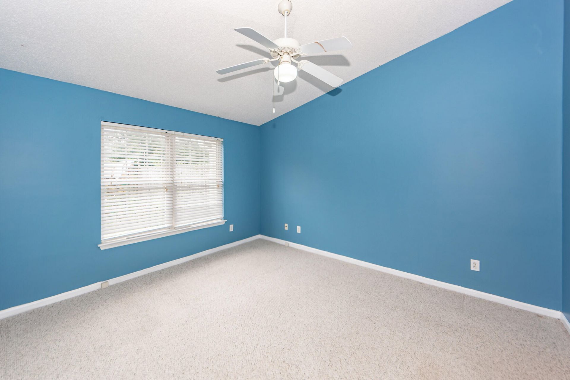 1307 Apex Lane Photo 19