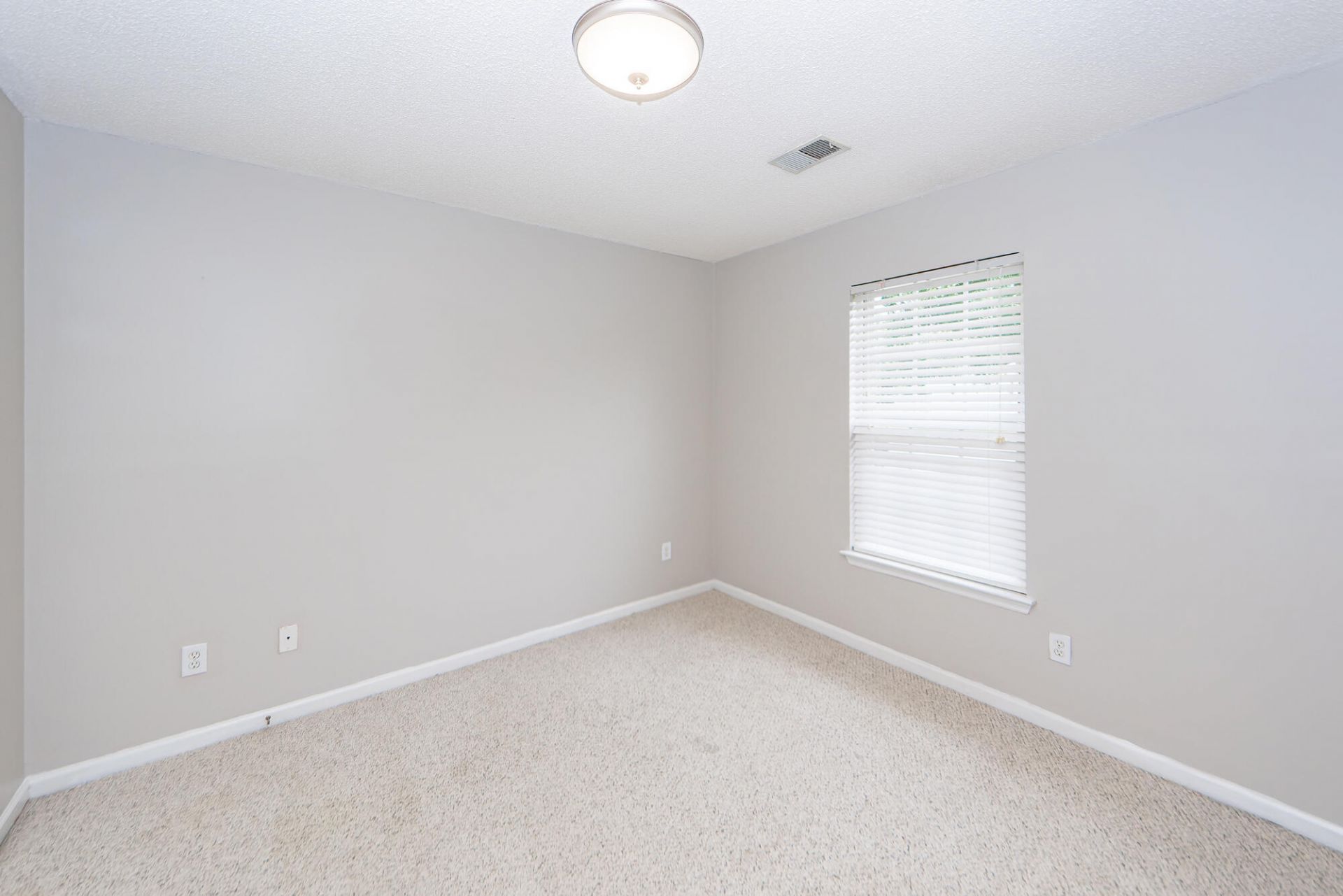 1307 Apex Lane Photo 6