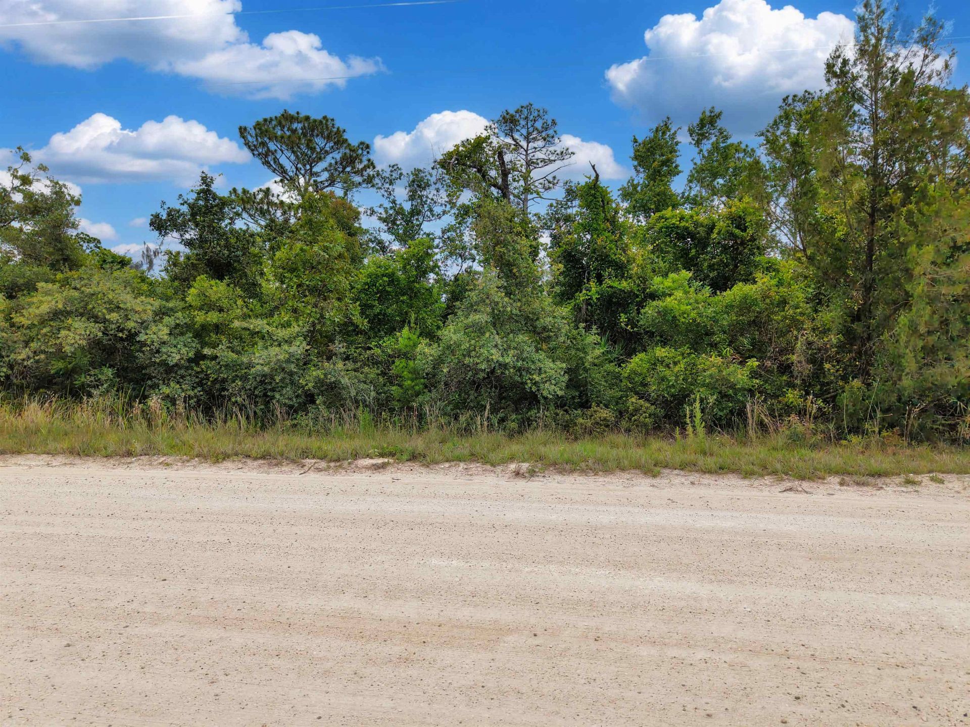 Lot 31 Sea Oaks Drive , Perry, FL 32348 Photo