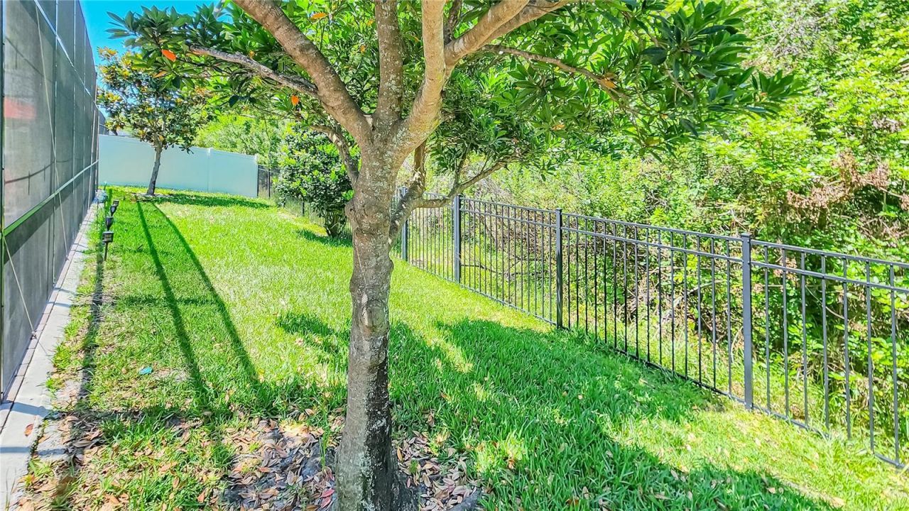 2389 Pearl Cider Street , Orlando, FL 32824 Photo