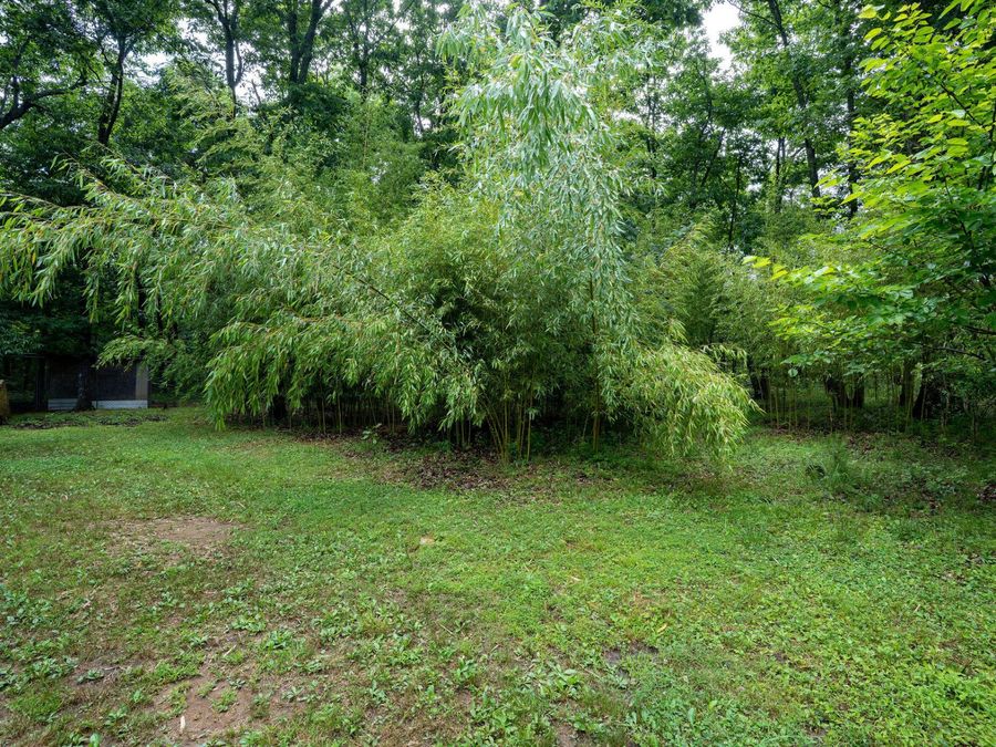 Property Image 54