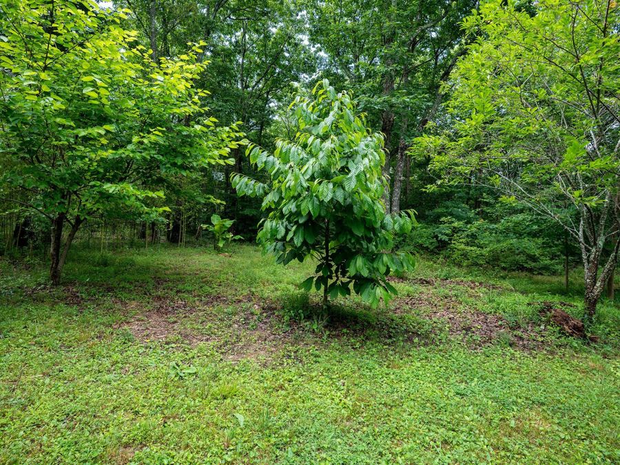 Property Image 55