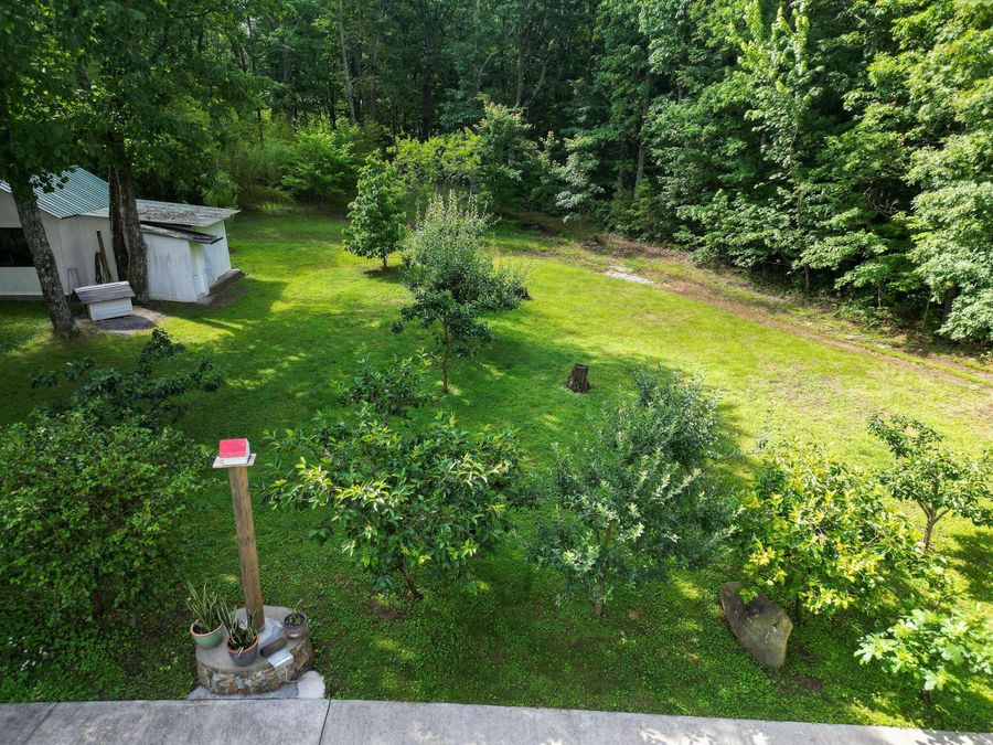 Property Image 58