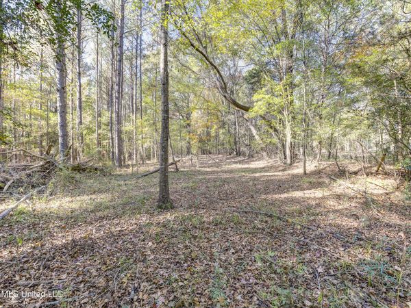 Brenmar Street, Brandon, MS 39042