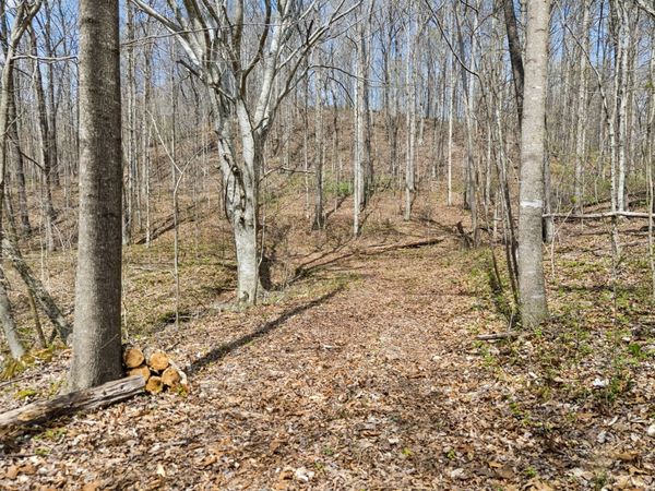 0 Old Highway 31E , Westmoreland, TN 37186