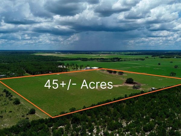 SE 54TH STREET , MORRISTON, FL 32668