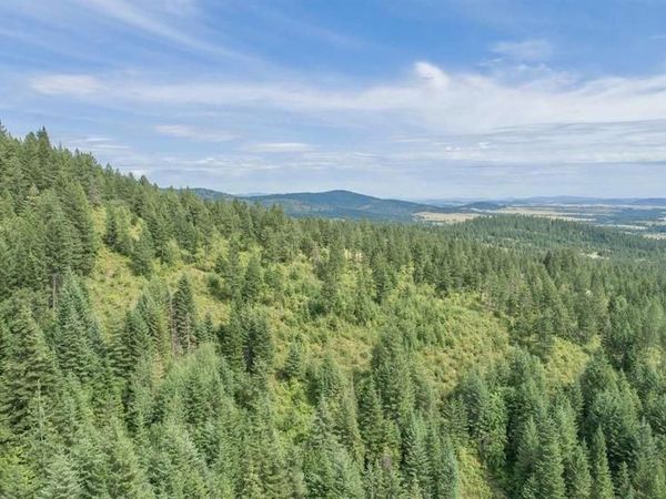 11507 S Alpine Fern Ln, Rockford, WA 99030