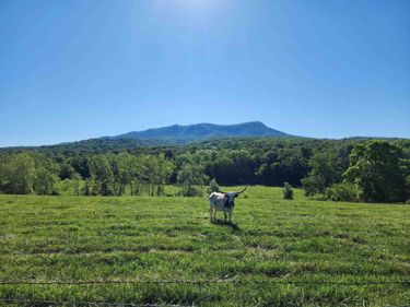 TBD INDIAN TRAIL RD, PENN LAIRD, VA 22846