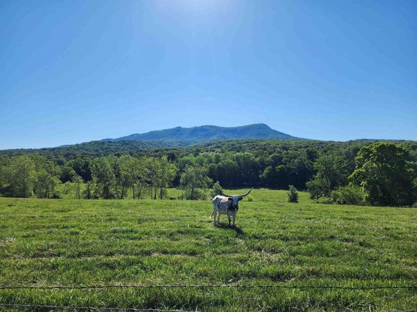 TBD INDIAN TRAIL RD, PENN LAIRD, VA 22846