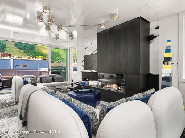 627 E Hopkins Avenue, Unit 201, Aspen, CO 81611