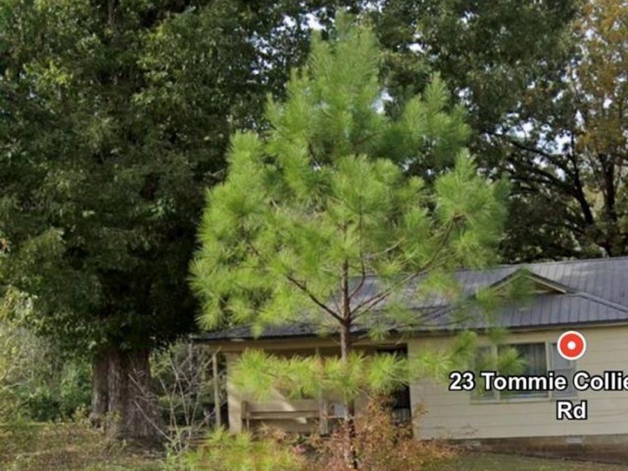 Property Image 4