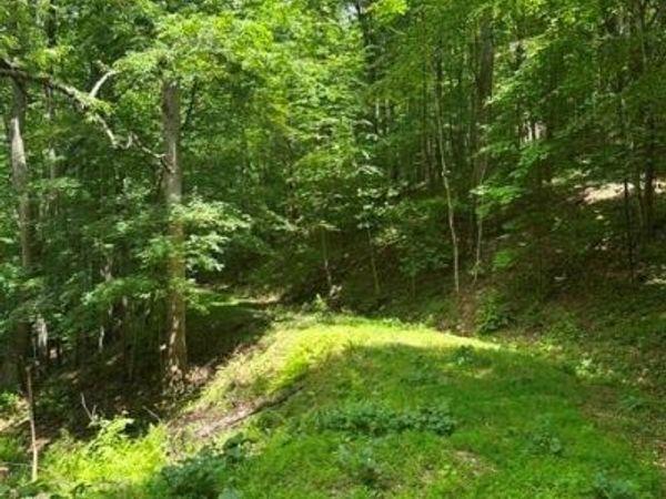 TBD Mountain Home Road, Elk Park, NC 28622
