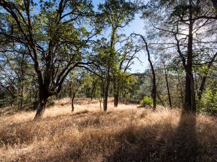 1031 Trails End Dr, Placerville, CA 95667 Photo