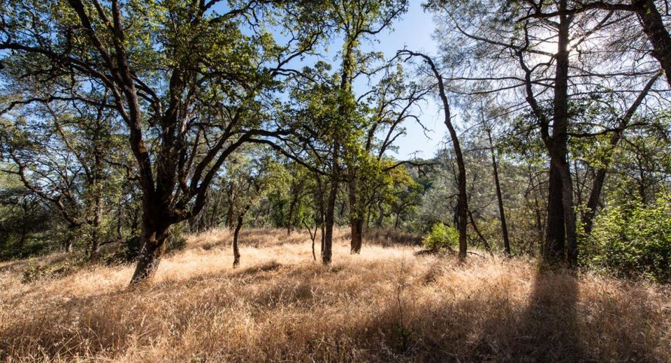 1031 Trails End Dr, Placerville, CA 95667 Photo