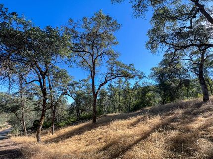 1031 Trails End Dr, Placerville, CA 95667 Photo