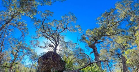 1031 Trails End Dr, Placerville, CA 95667 Photo