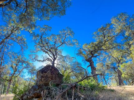 1031 Trails End Dr, Placerville, CA 95667 Photo