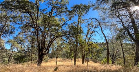 1031 Trails End Dr, Placerville, CA 95667 Photo