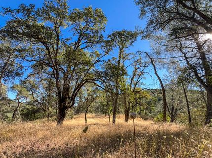 1031 Trails End Dr, Placerville, CA 95667 Photo