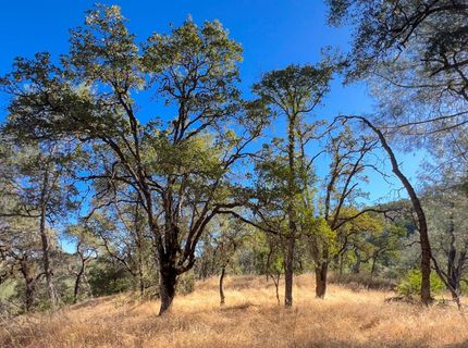 1031 Trails End Dr, Placerville, CA 95667 Photo