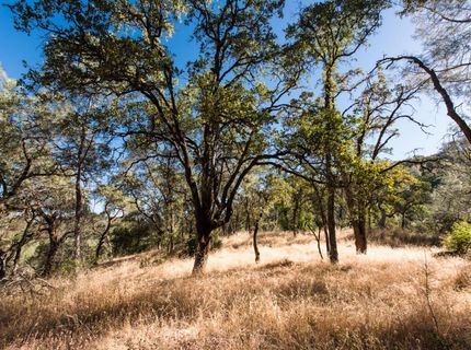 1031 Trails End Dr, Placerville, CA 95667 Photo
