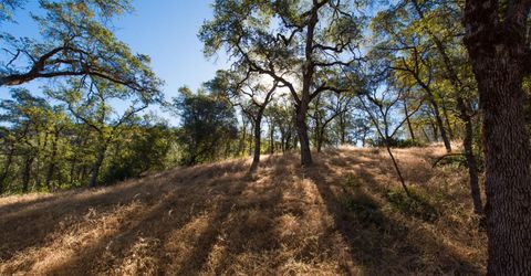 1031 Trails End Dr, Placerville, CA 95667 Photo