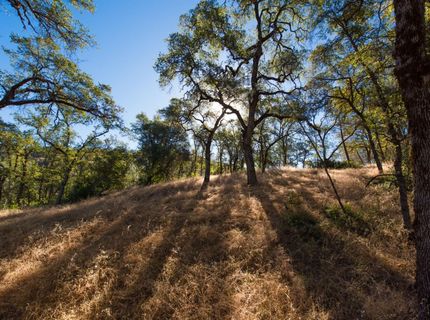 1031 Trails End Dr, Placerville, CA 95667 Photo