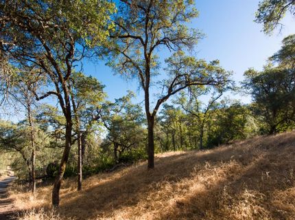 1031 Trails End Dr, Placerville, CA 95667 Photo