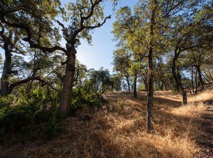 1031 Trails End Dr, Placerville, CA 95667 Photo