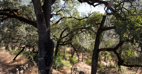 1031 Trails End Dr, Placerville, CA 95667 Photo