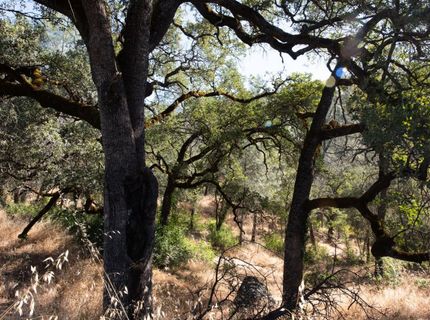1031 Trails End Dr, Placerville, CA 95667 Photo