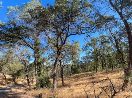 1031 Trails End Dr, Placerville, CA 95667 Photo
