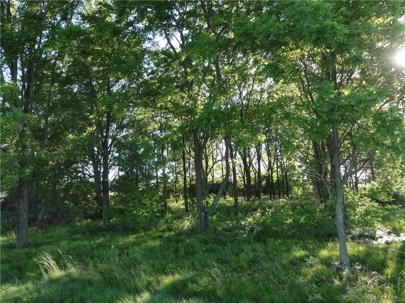 0 N FURLONG Road, Laura, OH 45337 Photo 5