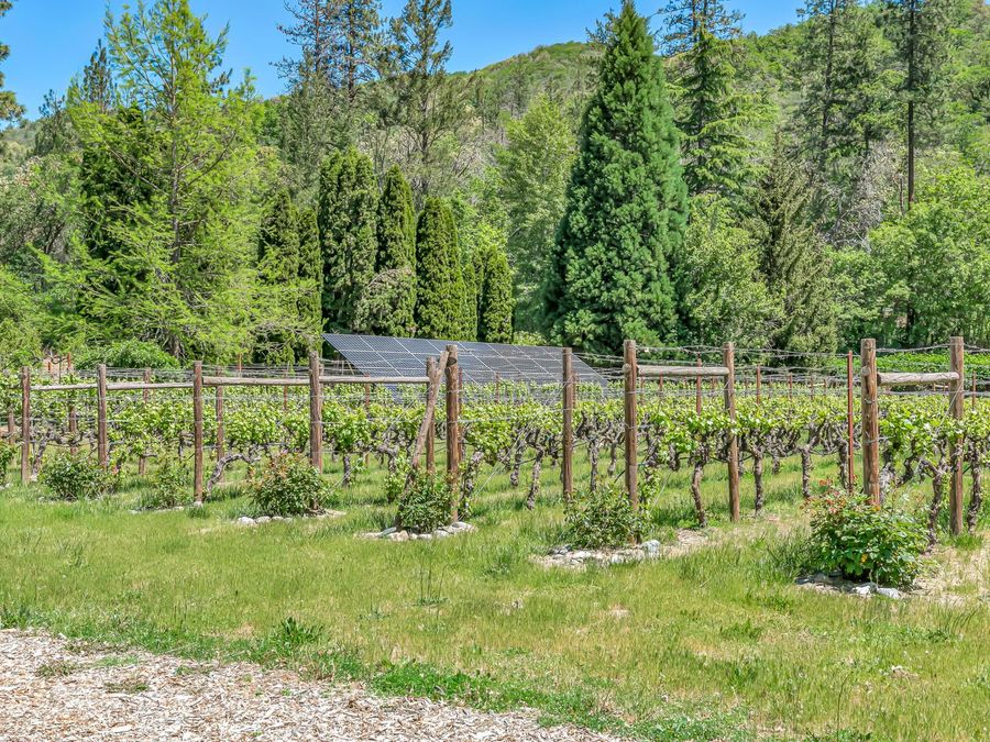 Property Image 114