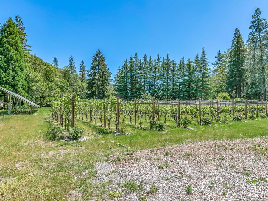 Property Image 119