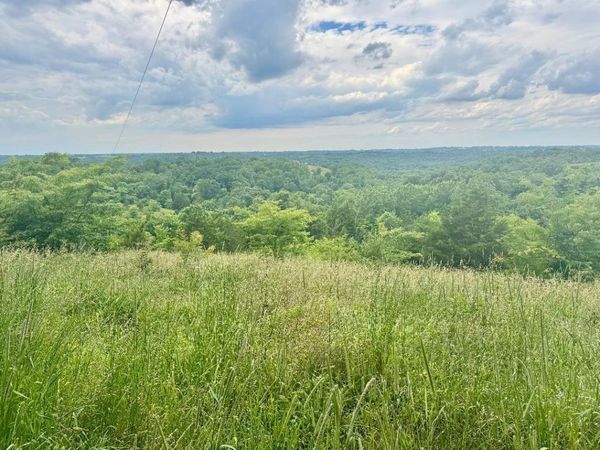 27.28 Acre Hwy 467, Demossville, KY 41033