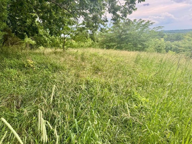 27.28 Acre Hwy 467, Demossville, KY 41033 Photo 2