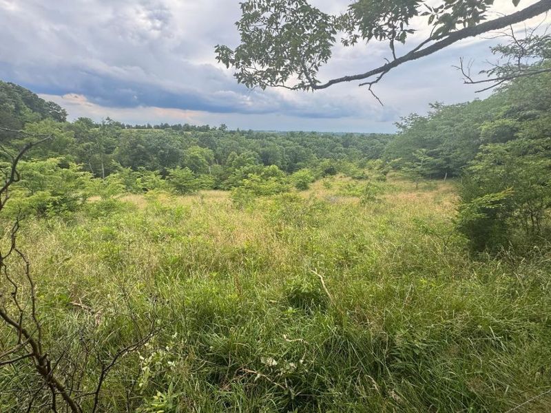 27.28 Acre Hwy 467, Demossville, KY 41033 Photo 3