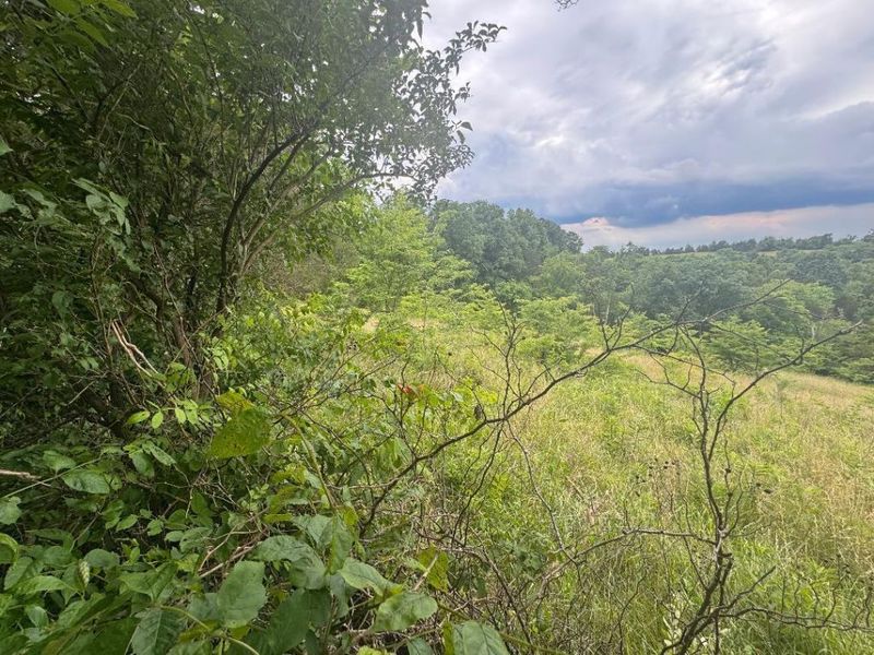 27.28 Acre Hwy 467, Demossville, KY 41033 Photo 4