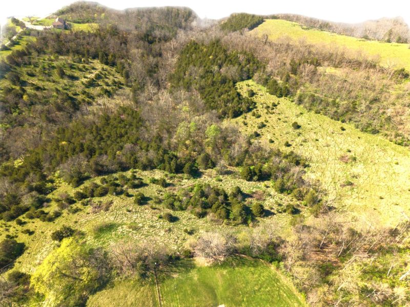 27.28 Acre Hwy 467, Demossville, KY 41033 Photo 6