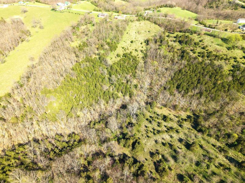 27.28 Acre Hwy 467, Demossville, KY 41033 Photo 7