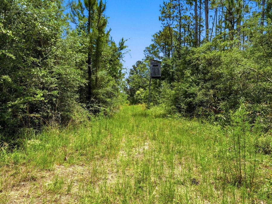 Property Image 62