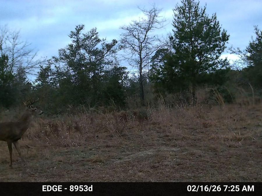 Property Image 66