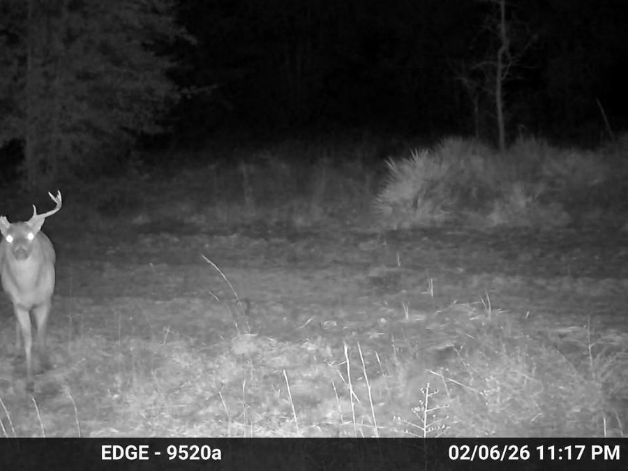 Property Image 82
