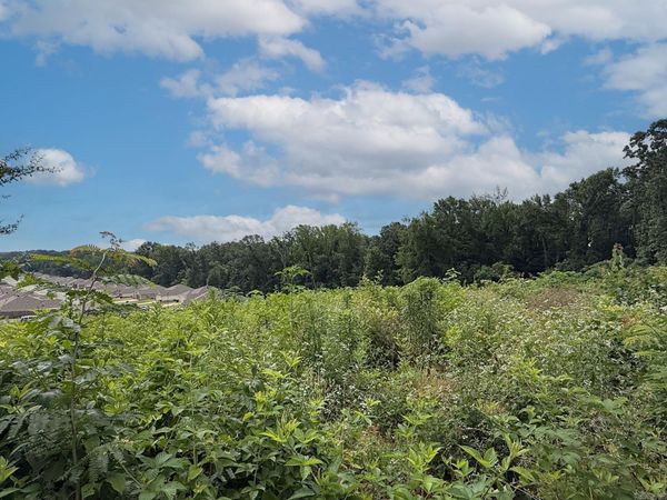 Lot 134 N Stagecoach Road , Ward, AR 72176