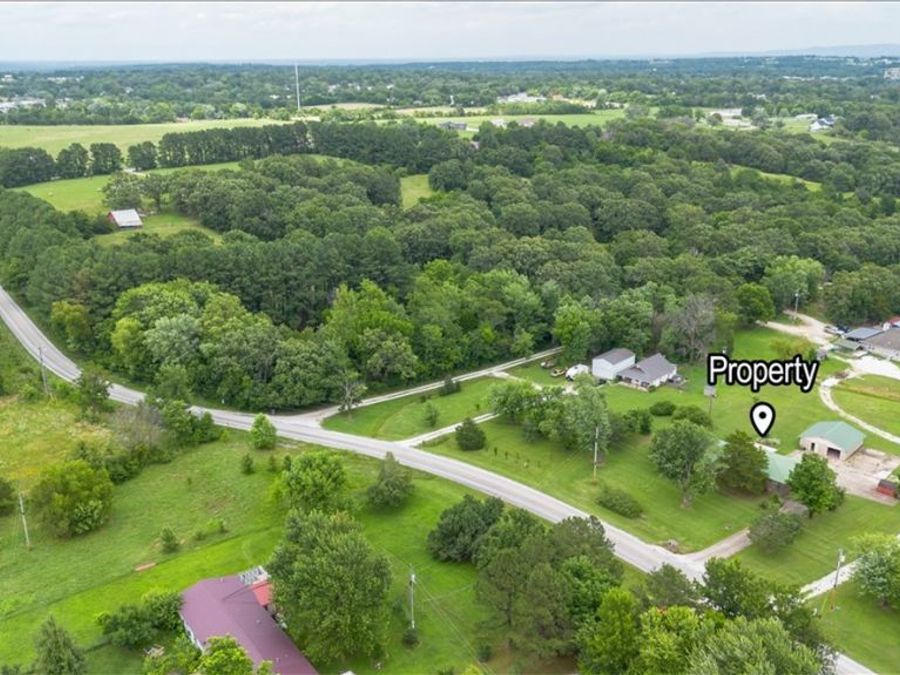 Property Image 41